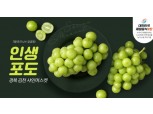 CJ더마켓 농가상생 프로그램 2탄…`김천 포도` 판매