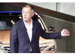 정의선 현대차 부회장, 한국차 '친환경 전환' 선봉에