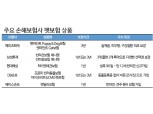 ’퍼플오션‘ 펫보험…반려인 맞춤 보장 확대로 ‘훈풍’