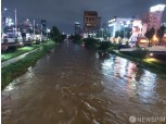 폭우로 침수된 차량, '자차담보'로 보상 가능