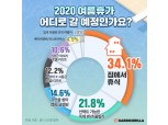 여름휴가 3명 중 1명은 ‘집에서 휴식’…카드고릴라 설문조사
