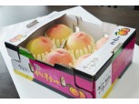 이마트, 비와도 달달한 '옥천 타이벡 복숭아' 1만4900원 판매