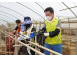 NH농협금융, 폭우 피해농가 복구 작업 지원