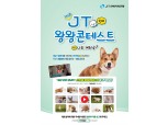 JT친애저축은행, 언택트 ‘제5회 JT친애 왕왕콘테스트’ 개최
