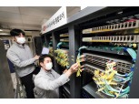 KT, 5G 통합 코어망 구축…단독모드 상용화 가속