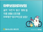 NH농협손보, '레저활동 위험 하루 단위 보장' 하루보장 레저보험 출시