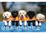 손보사, 코로나로 얼룩진 2020, 누가 많이 나눴나
