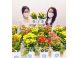 동양생명, 독거노인 위한 ‘화(花)를 품은 봄날’ 진행