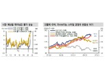 주식투자, 물가 방향 예단보다는 업종 선별 통해 리스크 관리...금융, 에너지 섹터 유리 - 신금투