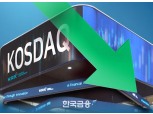 코스닥, 두 달 만에 700선 붕괴…코스피도 약세
