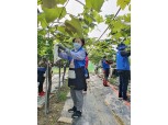 인천농협·인천광역시여성단체협의회, ‘농촌일손돕기’ 봉사활동
