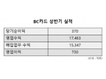 엇갈린 실적…BC카드 '울고' 롯데카드 '웃다'