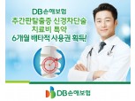 DB손보, ‘추간판탈출증 신경차단술 치료비 특약’ 6개월 배타적 사용권 획득
