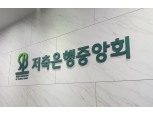 저축은행 업권, 330억원 규모 ‘PF 부실채권 정리·정상화 지원 펀드’ 조성