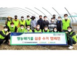 인천농협, 영농폐기물 수거 캠페인 전개