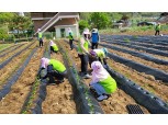 농협경제지주 도매유통본부, 고추농가 찾아 일손 보태