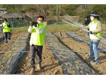 농협중앙회 조합구조개선부, 영농철 일손돕기 나서