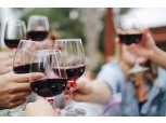 정지선 와인 사업 본격화…롯데·신세계·현대百, 와인 전쟁 시작