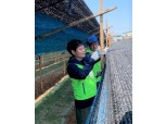 농협 감사위원회사무처, 김포 인삼농가 일손돕기 실시