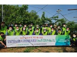 인천농협 나눔봉사단, '농번기 농촌일손돕기' 실시