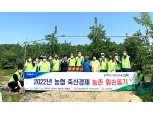 농협 축산지원부, 농촌 일손돕기 구슬땀 흘려