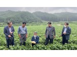 김용욱 농협 강원지역본부장, 고랭지채소 수급상황·집중호우 피해 상황 점검