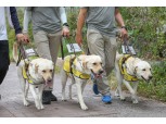 故이건희 회장 뜻 이어간 '안내견학교'…29년간 시각장애인 '눈' 대신했다