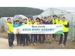 농협중앙회 임직원, 전국 각지 수확기 농촌일손돕기 구슬땀