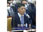 카카오 김범수 “경영 복귀 생각 안 해…전문경영인이 역량 나타낼 것” [2022 국감]