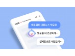 다음 뉴스, 실시간 댓글로 바뀐다…24시간 지나면 댓글창 사라져