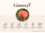 코스맥스, 2년여 연구 끝에 탈모완화 기능성 소재 ‘가녹실’ 개발