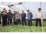 충남세종농협, 일조량 부족 피해 농업인 현장 점검