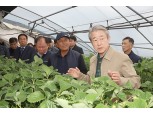 강호동 농협중앙회장, 부여군 일조량 부족 피해 농업인 현장 점검