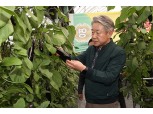 강호동 농협중앙회장, 가지 생육·출하 동향 점검차 농가 방문