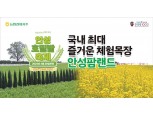농협 안성팜랜드, 초록빛 물결의 '호밀밭 축제' 실시