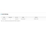 ‘동탄역 롯데캐슬’ 1가구 줍줍에 294만명 몰렸다…역대급 경쟁 실현