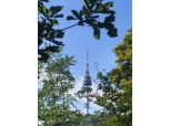 '착공' 남산곤돌라 우려 목소리 여전…'환경보존 계획부터' vs '수익으로 회복'