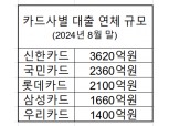 카드사 대출 연체율 3.1% 돌파…건전성 '빨간불'