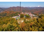 하이원리조트, 운탄고도 케이블카 패키지 출시