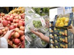 “사과·샤인·감귤 40% 할인” 이마트, 20일까지 ‘과일데이’ 개최