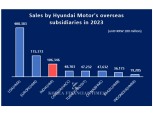 A bold winning move? Hyundai Motor enters 'post-China' Indian stock market