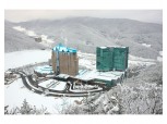 강원랜드, 400억원 규모 자기주식 취득 완료…“주주권익 보호에 노력”