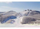 스키·워터월드…하이원, 겨울철 즐길거리 ‘없는 게 없네’