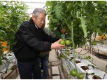강호동 농협중앙회장, 경남 사천 토마토 재배농가 현장 점검