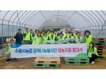 NH농협 수원시지부·수원농협 함께나눔 농촌일손돕기 실시