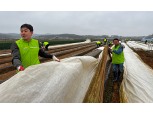 농협경제지주 축산유통부, 김포시 감자농가 찾아 일손돕기 구슬땀