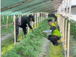 농협경제지주, 농번기 맞아 일손돕기 나서