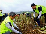 충남세종농협·한국국토정보공사 대전세종충남지역본부와 합동 농촌일손돕기 실시