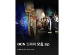 ‘드라마∙영화∙숏폼까지’ 웨이브, CJ ENM 등 인기 콘텐츠 대거 업데이트