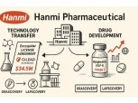 Hanmi Pharm pursues performance rebound through technology transfer and indication expansion